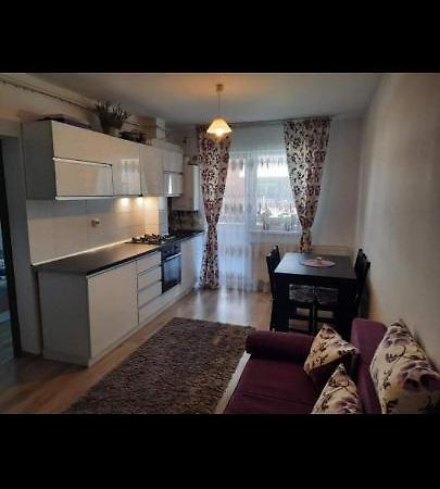 Diana Apartament Apartment Brașov Exterior foto