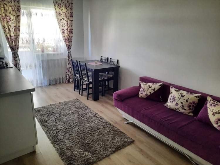 Diana Apartament Apartment Brașov Exterior foto